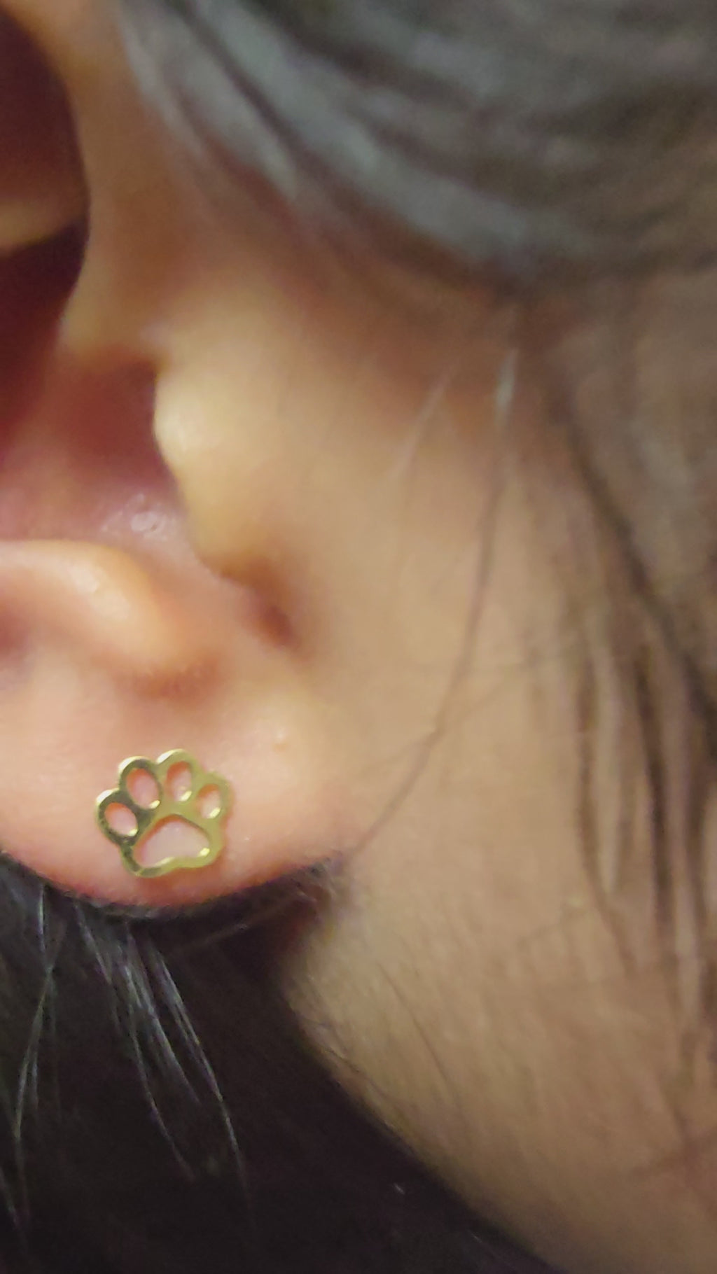 Zarcillos de pata de perro