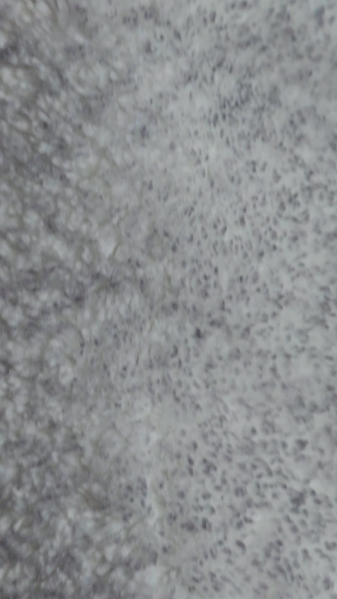 I said Neapolitan horn