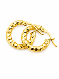 Earrings diamond