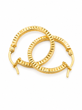 Earrings bisell