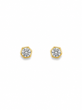 Incrusyed Diamond Earring