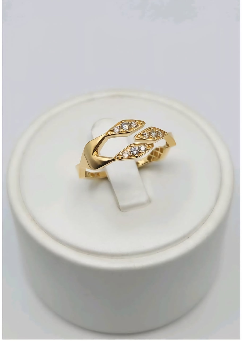 Anillos