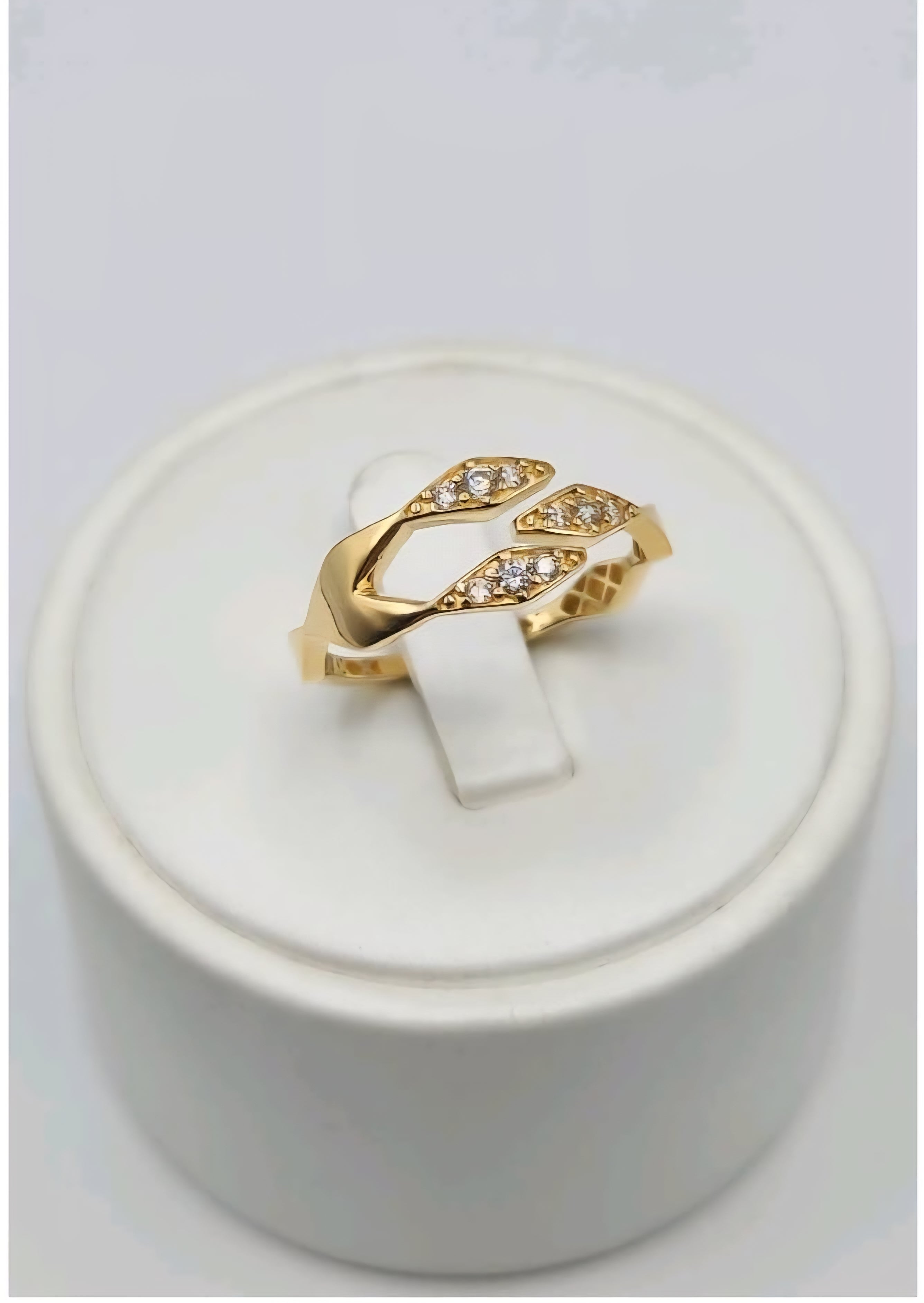Anillos